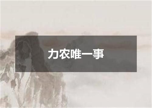 力农唯一事