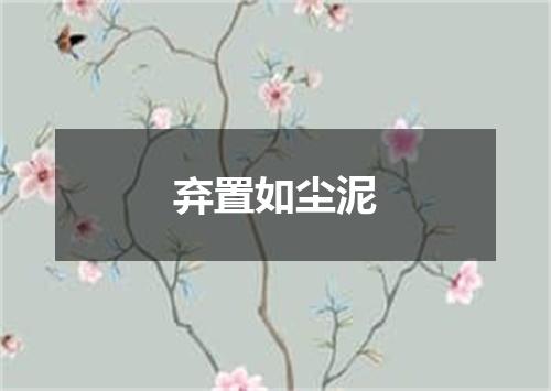 弃置如尘泥