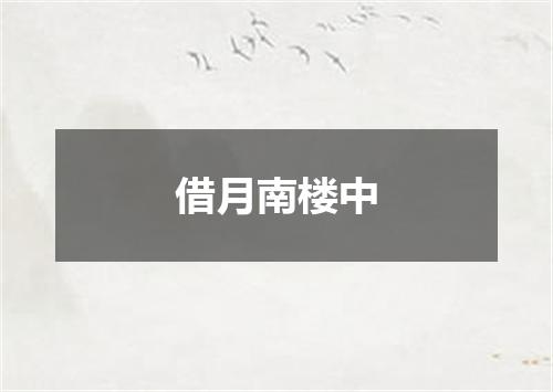 借月南楼中