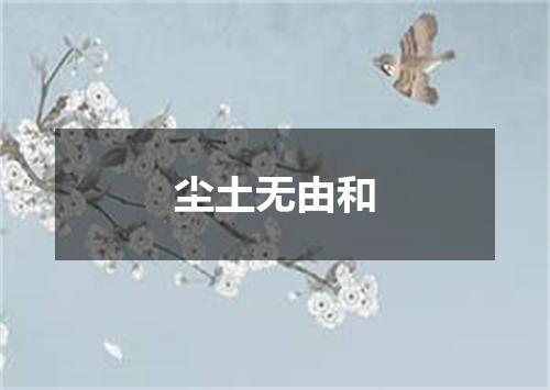 尘土无由和
