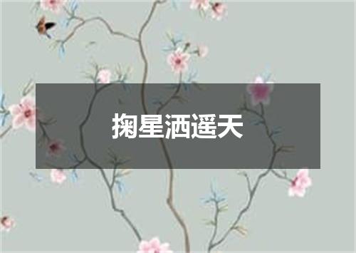 掬星洒遥天