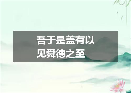吾于是盖有以见舜德之至