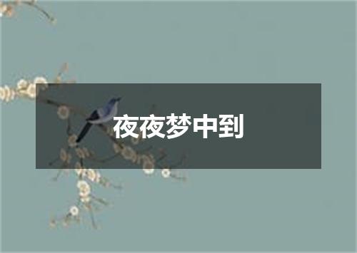 夜夜梦中到