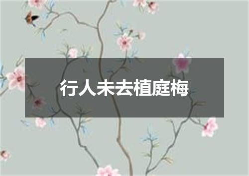 行人未去植庭梅