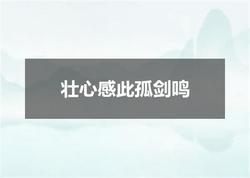 壮心感此孤剑鸣