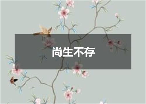 尚生不存
