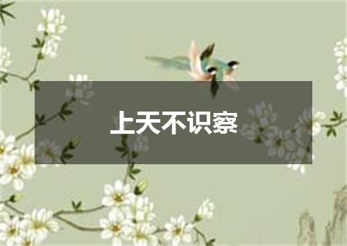 上天不识察