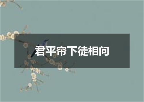君平帘下徒相问