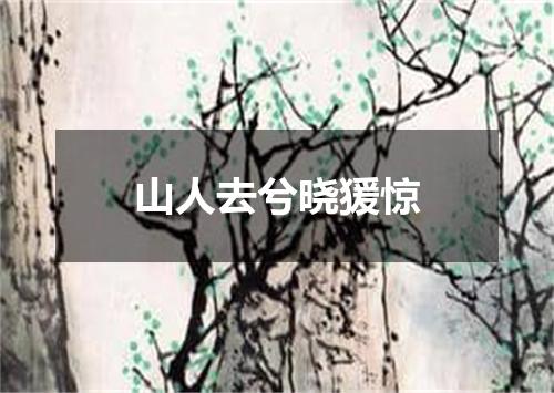 山人去兮晓猨惊