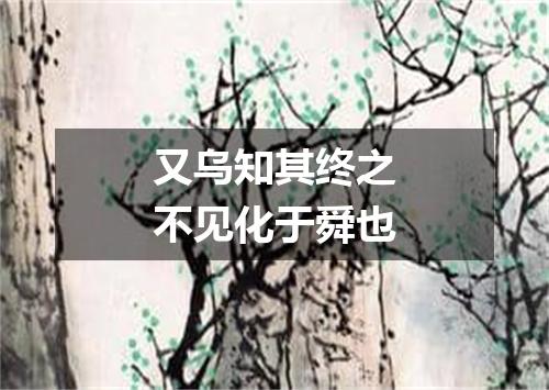 又乌知其终之不见化于舜也