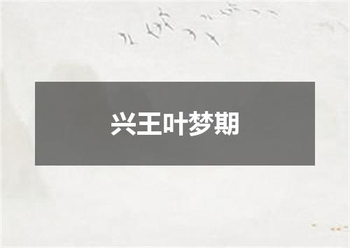 兴王叶梦期