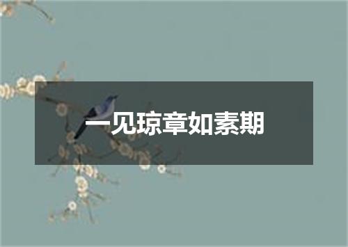 一见琼章如素期