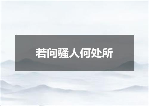 若问骚人何处所