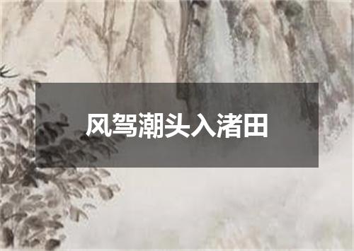 风驾潮头入渚田