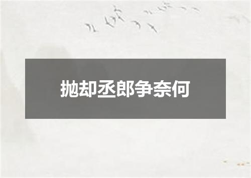 抛却丞郎争奈何