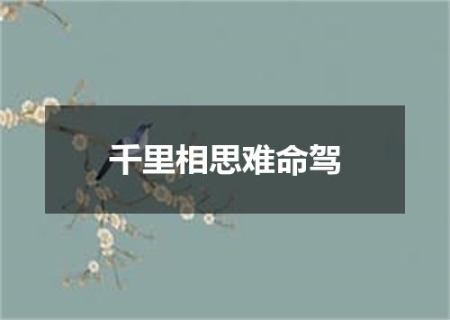 千里相思难命驾