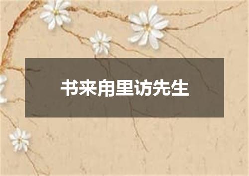 书来甪里访先生