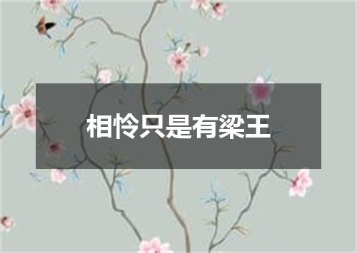 相怜只是有梁王