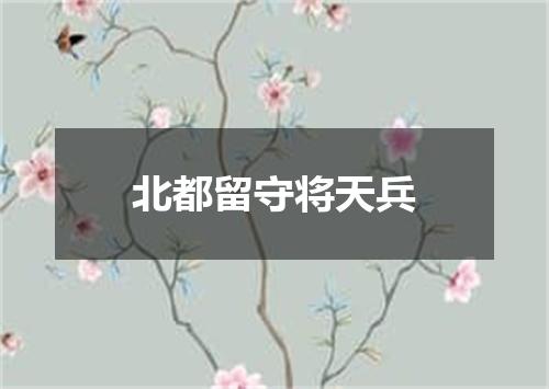 北都留守将天兵