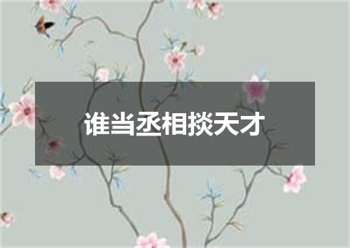 谁当丞相掞天才