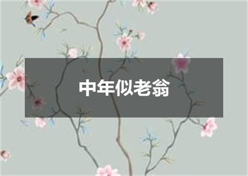 中年似老翁