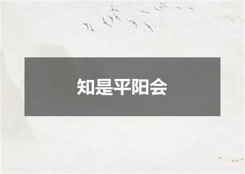 知是平阳会