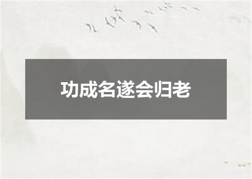 功成名遂会归老