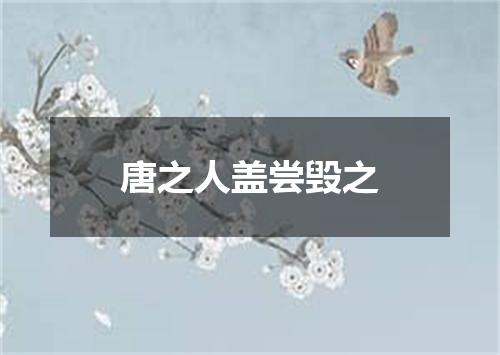 唐之人盖尝毁之