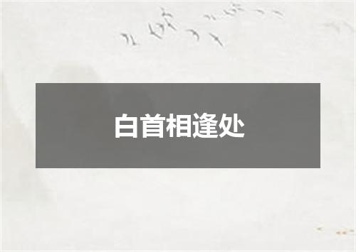 白首相逢处