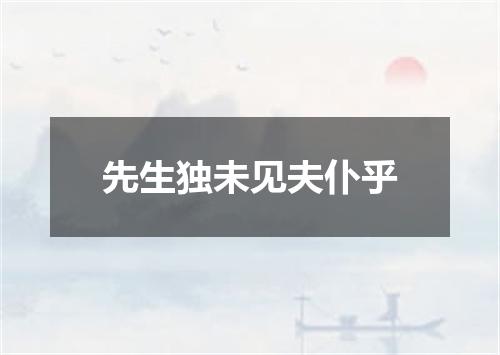 先生独未见夫仆乎
