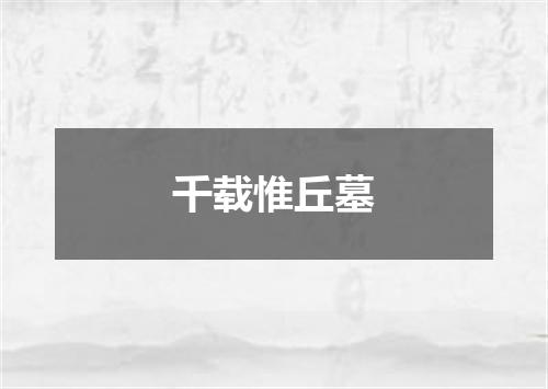 千载惟丘墓