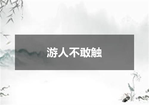 游人不敢触