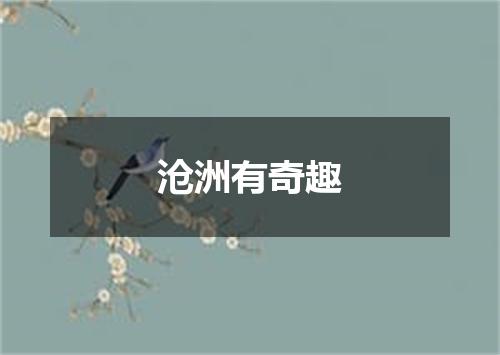 沧洲有奇趣