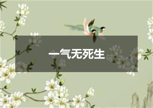 一气无死生