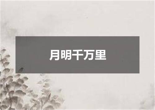 月明千万里