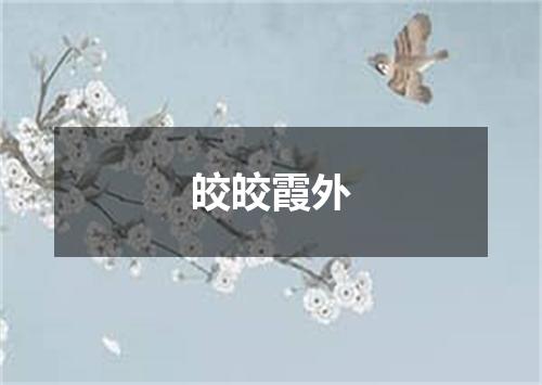 皎皎霞外