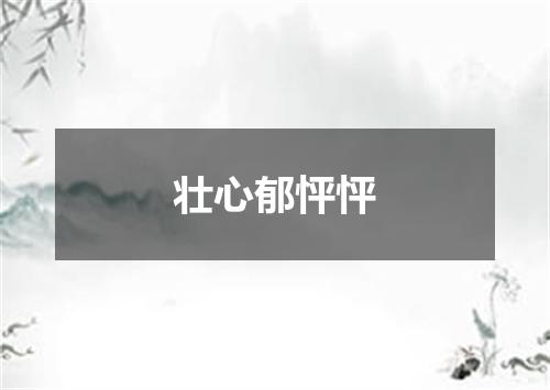 壮心郁怦怦