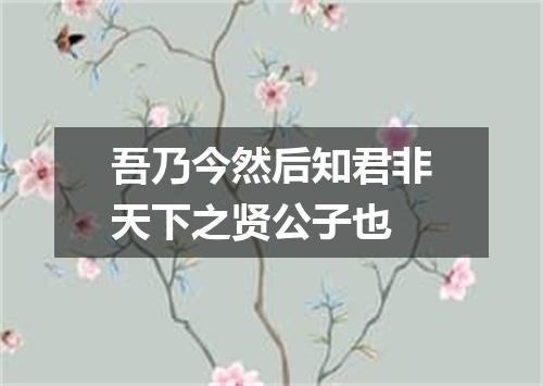 吾乃今然后知君非天下之贤公子也