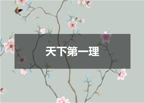 天下第一理