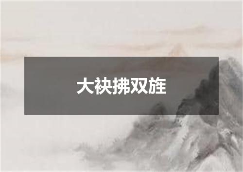 大袂拂双旌
