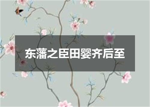 东藩之臣田婴齐后至