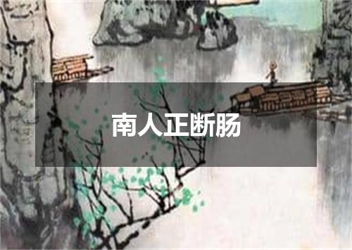 南人正断肠
