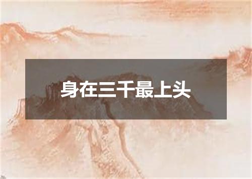 身在三千最上头