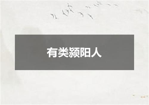有类颍阳人