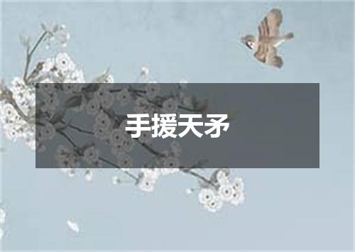 手援天矛