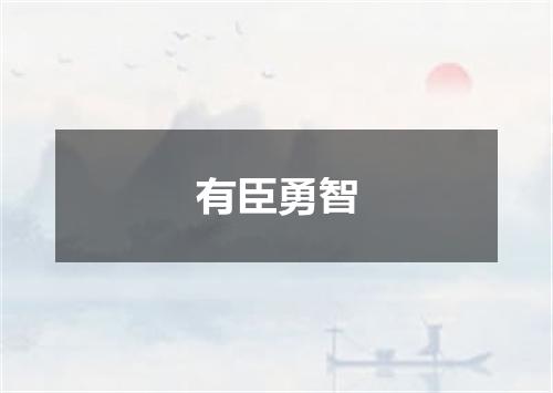 有臣勇智