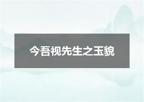 今吾视先生之玉貌