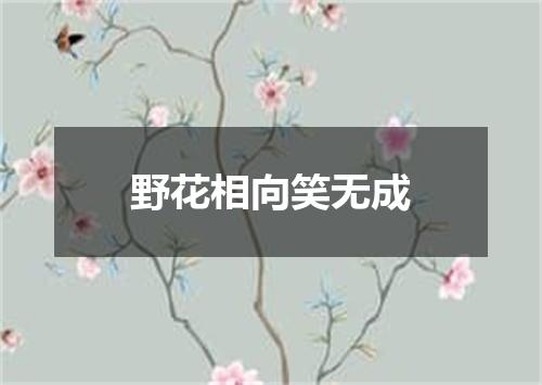 野花相向笑无成