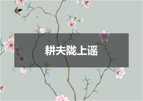 耕夫陇上谣