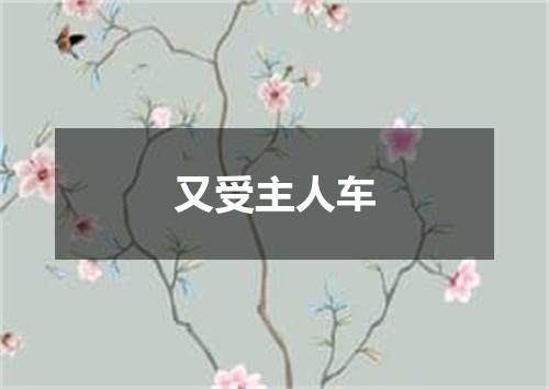 又受主人车